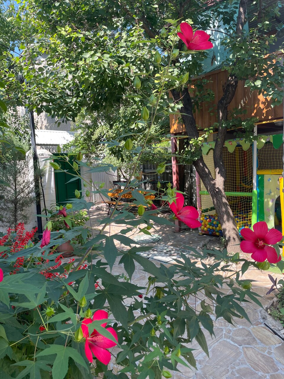 Гостиница Елизавета Феодосия-15