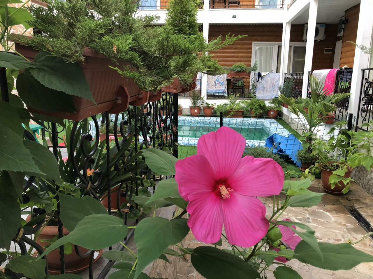 Гостиница Елизавета Феодосия-57