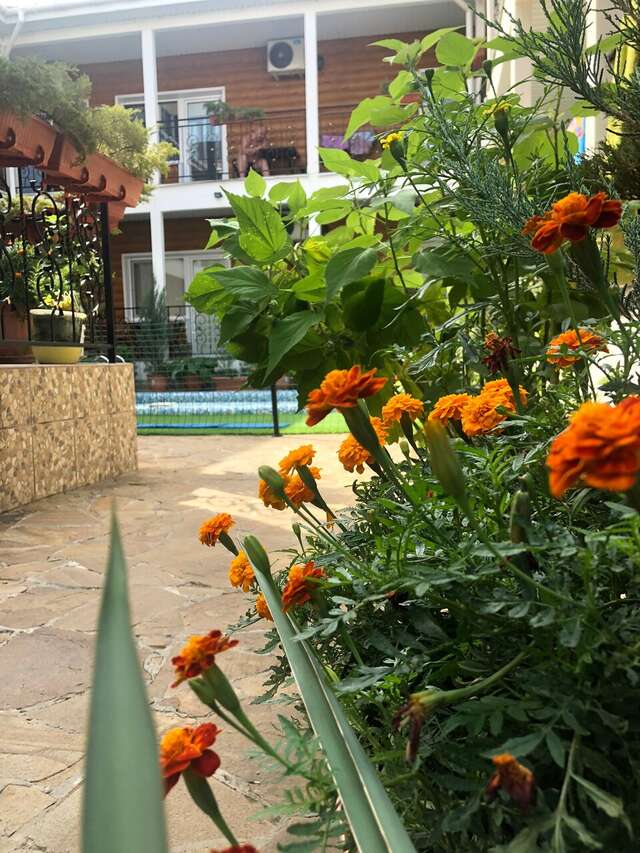 Гостиница Елизавета Феодосия-10