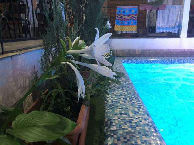 Гостиница Елизавета Феодосия-46